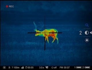 a deer targeted by thermal vision standing at 20 meters away