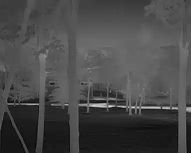 Forest at night see through a thermal scope