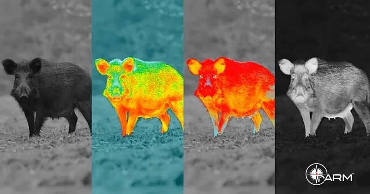 Master Hog Hunting with Thermal Scopes A Complete Guide