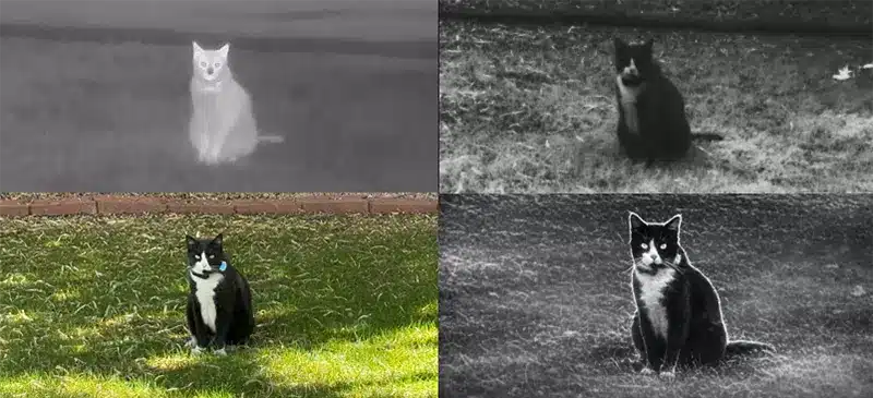 From Heat Signatures to Target Recognition: Multi-Spectrum Fusion Multi Spectrum Sensor Fusion Comparison